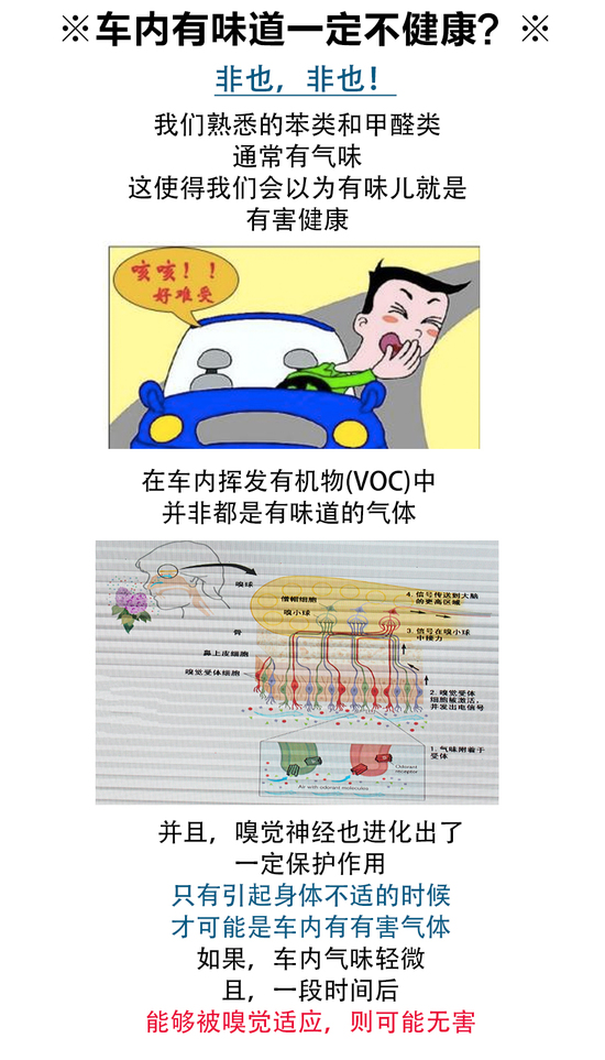 有味就是不健康 关于车内味道不知的几件事